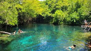RESERVA ECOLOGICA OJOS INDIGENAS