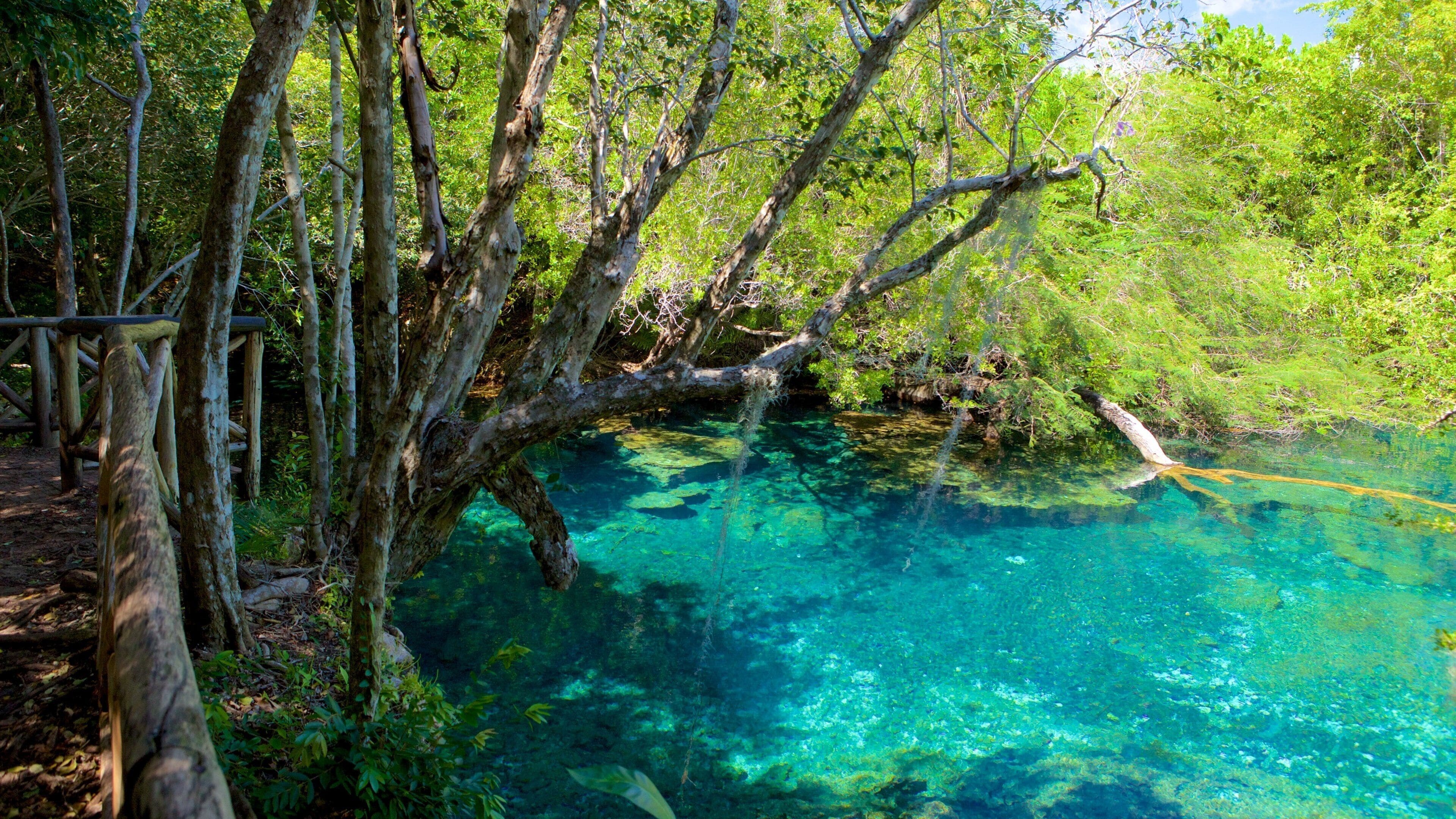 RESERVA ECOLOGICA OJOS INDIGENAS